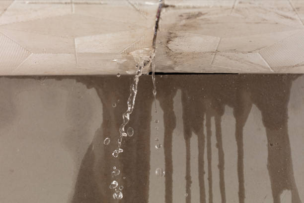 Professional Water Damage Repair technician working in New Site, MS